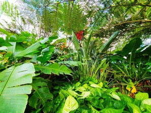 Apartment, Accessible - 2BR Food Drink Hub Gym Pool Views Roof Terrace (Newstead)