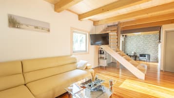 House (Holiday Home) | Living room | TV