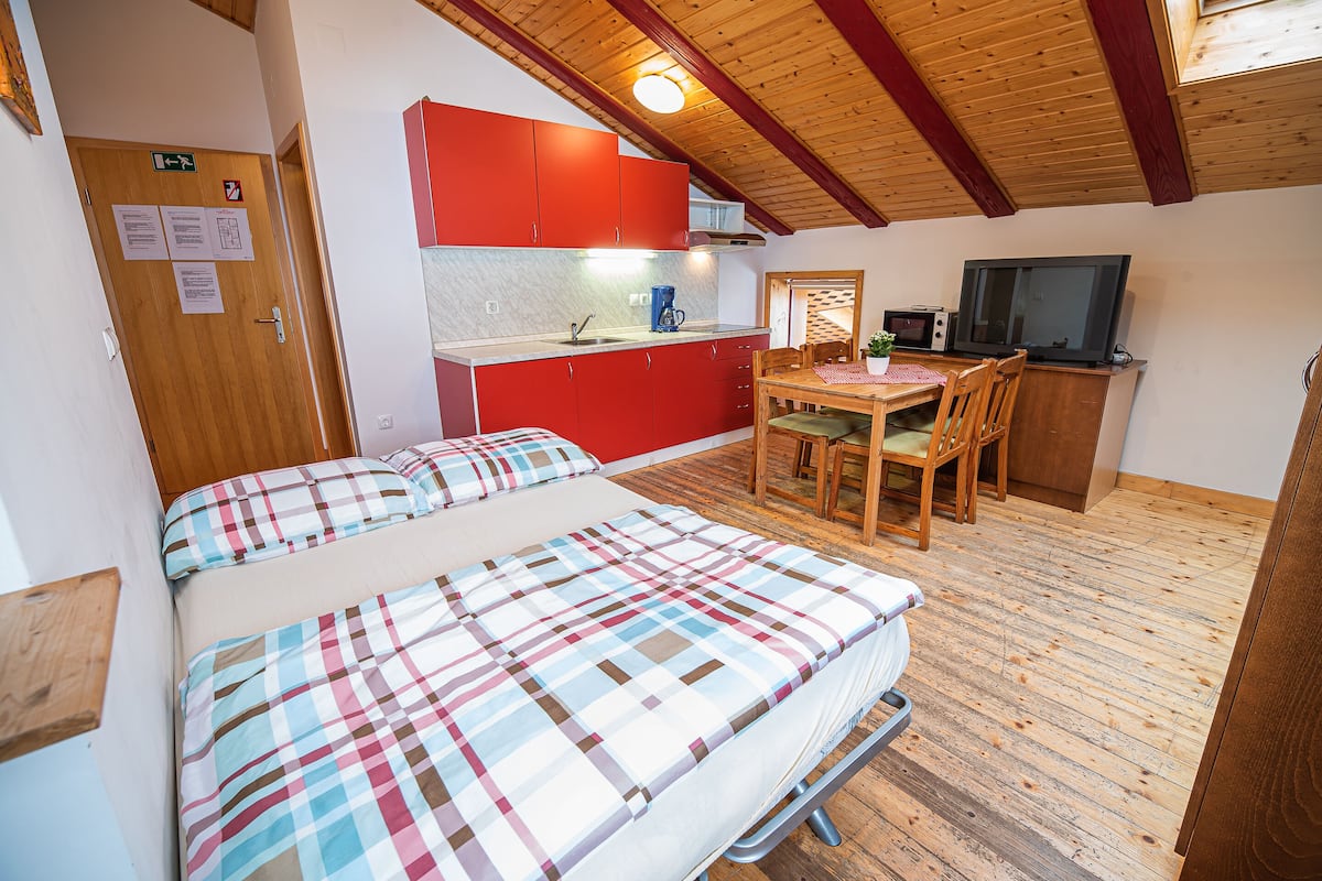 A compact room with a bed, a small kitchenette, a dining area, and a TV.