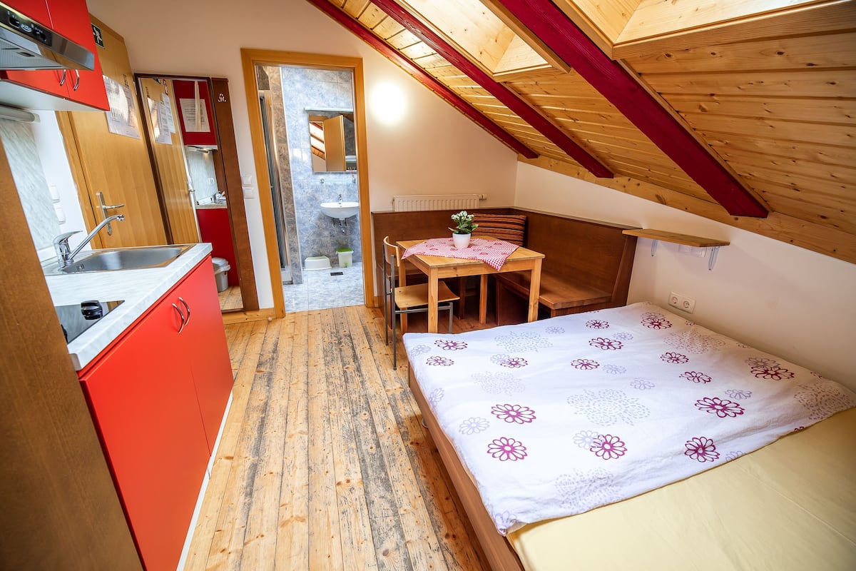 A compact room with a bed, a small table with a plant, a sink, and a red cabinet.