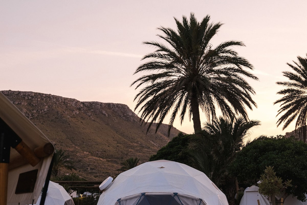 A series of dome-shaped tents in a desert setting with palm trees and a mountain in the background.