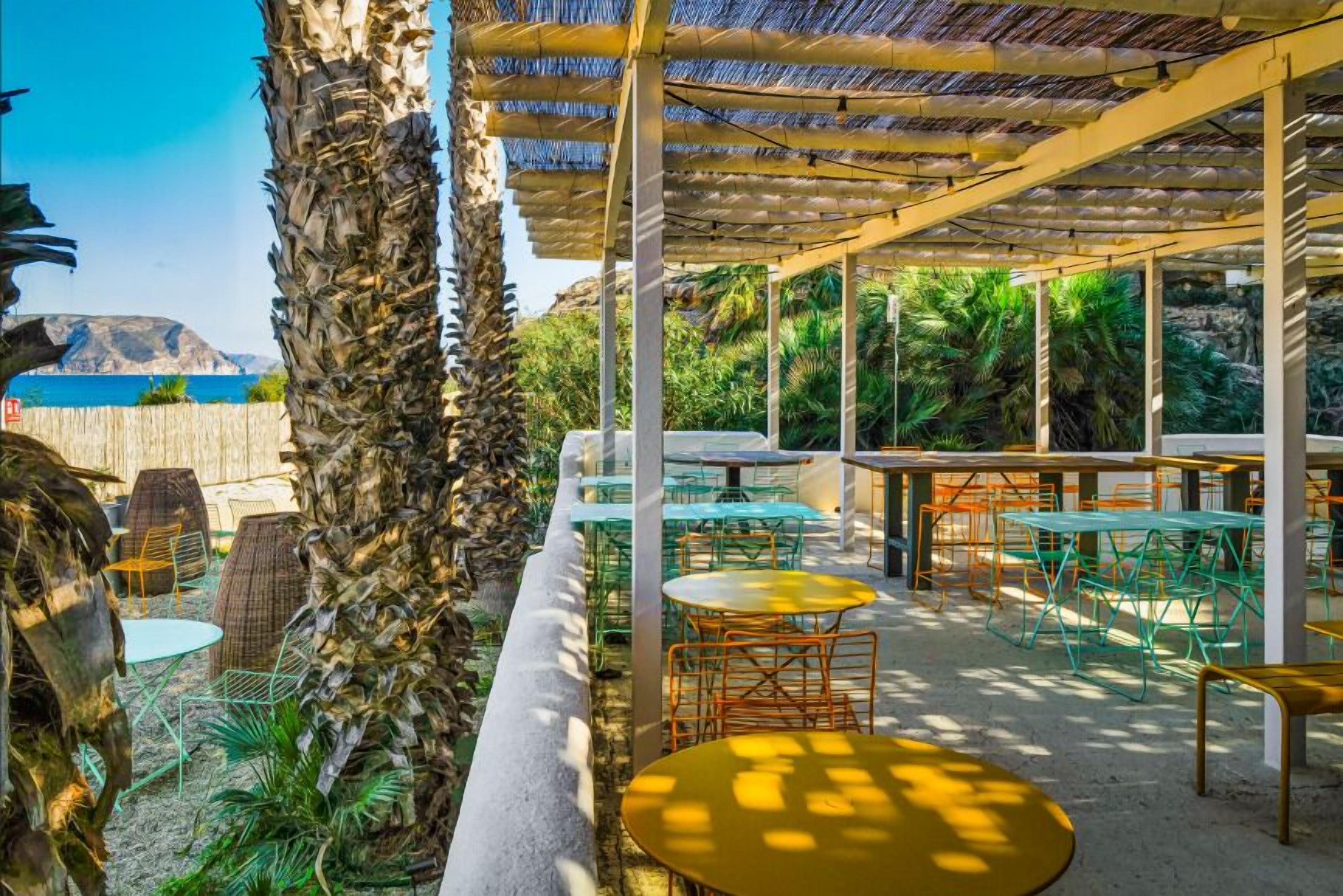 Une terrasse extérieure avec des tables et des chaises rondes, entourée de palmiers et offrant une vue sur la mer.