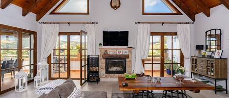 Smart TV, fireplace, video games, books