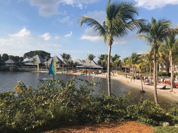 بالقرب من الشاطئ