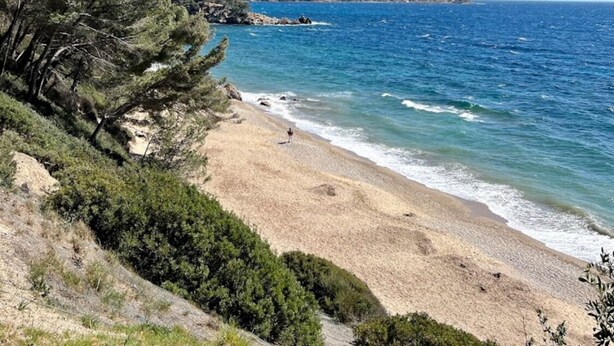 Une plage côtière avec un ciel dégagé, un rivage sablonneux et une végétation luxuriante.
