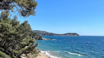 Plage à proximité, chaises longues