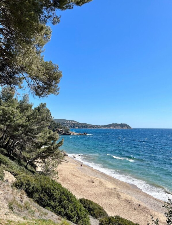 Plage à proximité, chaises longues