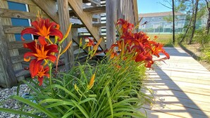 Eine Holzterrasse mit einer Holzw pergola, umgeben von Pflanzen und einem Weg.