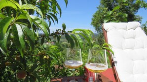 Une table en bois, avec deux verres de bière et une canette, entourée d’une végétation luxuriante et d’une chaise blanche rembourrée.