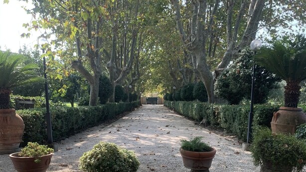 A paved pathway flanked by large terracotta pots and trimmed hedges, leading to a building entrance. - Villa Capri Bernabei, Domus Romana with private swimmingpool (Ciampino)