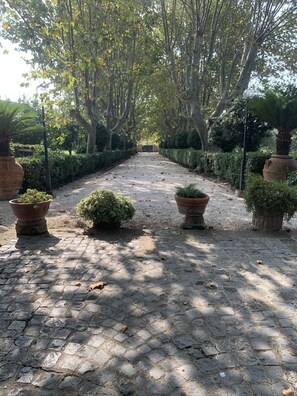 A paved pathway flanked by large terracotta pots and trimmed hedges, leading to a building entrance. - Villa Capri Bernabei, Domus Romana with a private pool (Ciampino)