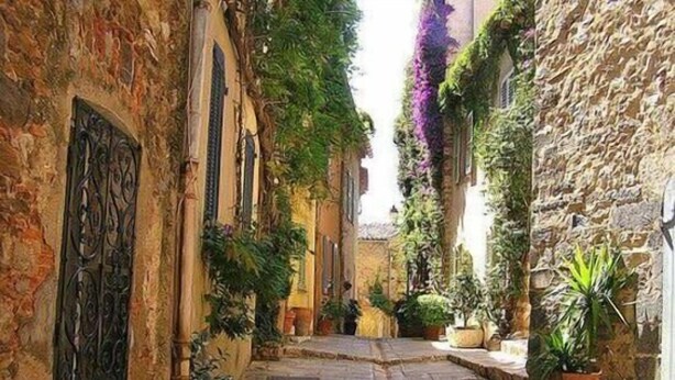 Un étroit sentier de pierre, bordé de bâtiments dotés de grilles en fer forgé décoratives et de plantes en pot.