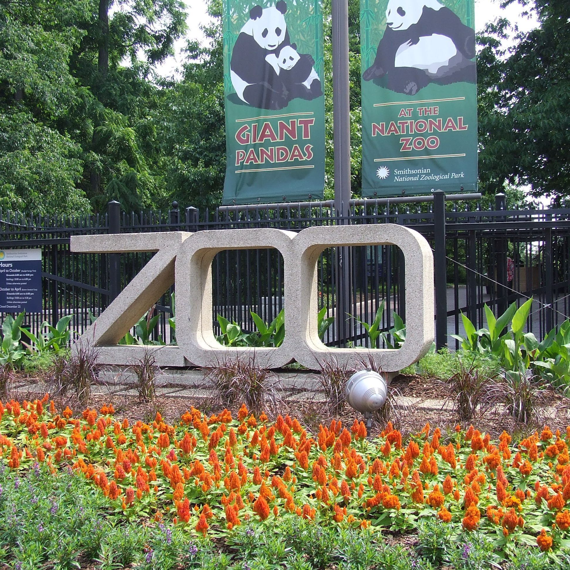 10 minute drive to Smithsonian National Zoo.