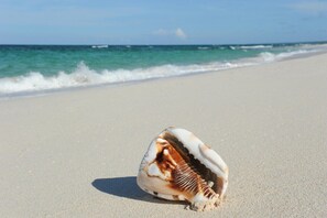 On the beach - Beach House w/Sunset View, Pool, Gym, Pickleball (Governors Harbour)