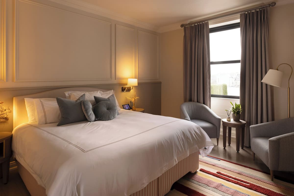 A hotel room with a large bed, two bedside lamps, a chair, a small table with a plant, and a view of the city through the window.