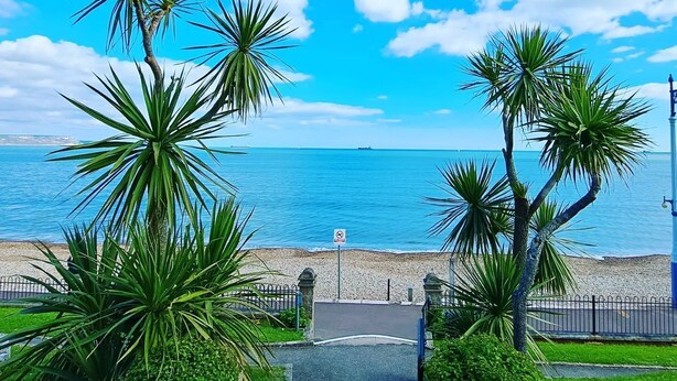A coastal view with palm trees and a clear blue sky. - Penn House Hotel (Weymouth)