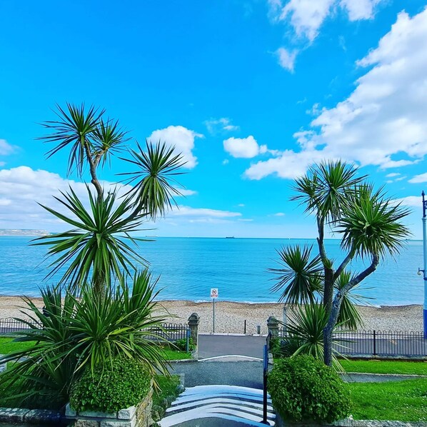 A coastal view with palm trees, a clear sky, and a calm sea. - Penn House Hotel (Weymouth)