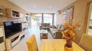 Smart TV, DVD player, books