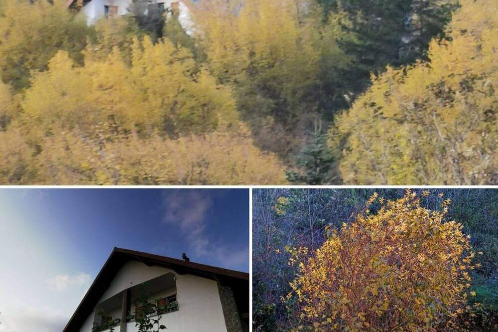 Holiday apartment Borzonasca for 2 - 5 persons with 1 bedroom - Holiday apartment