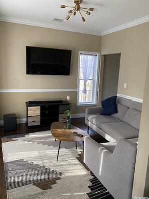 Smart TV, fireplace, books, computer monitors