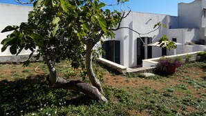 Un cortile con un albero, un edificio bianco con persiane nere e una pianta in vaso.