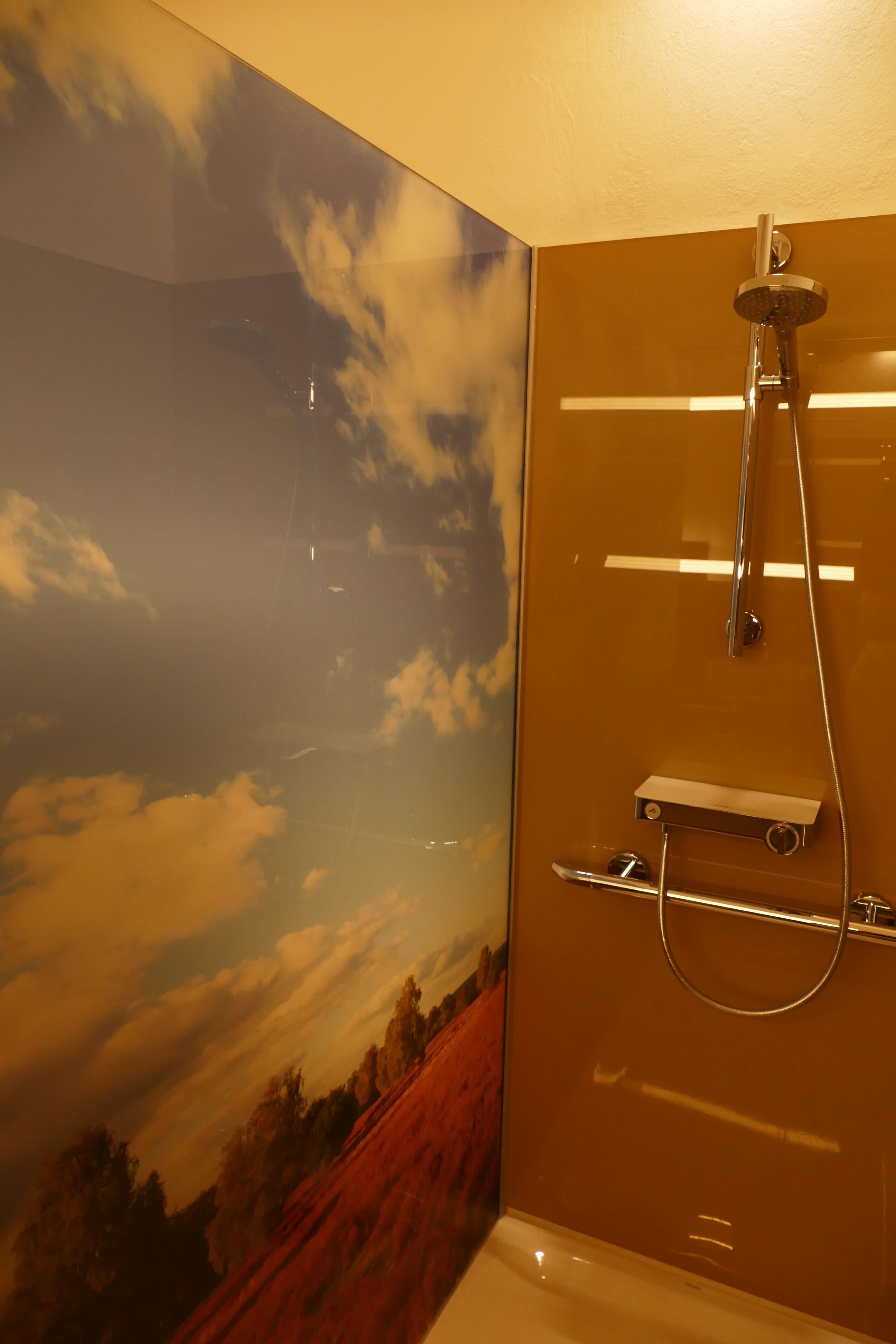 Un baño con ducha, perchero para toallas y un mural en la pared que muestra un cielo nublado.