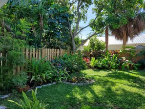 A lush garden with various plants and a wooden fence.