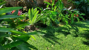 A lush garden with various tropical plants, a wooden fence, and a house with a metal roof in the background. - Tropical Hideway (Oakland Park)