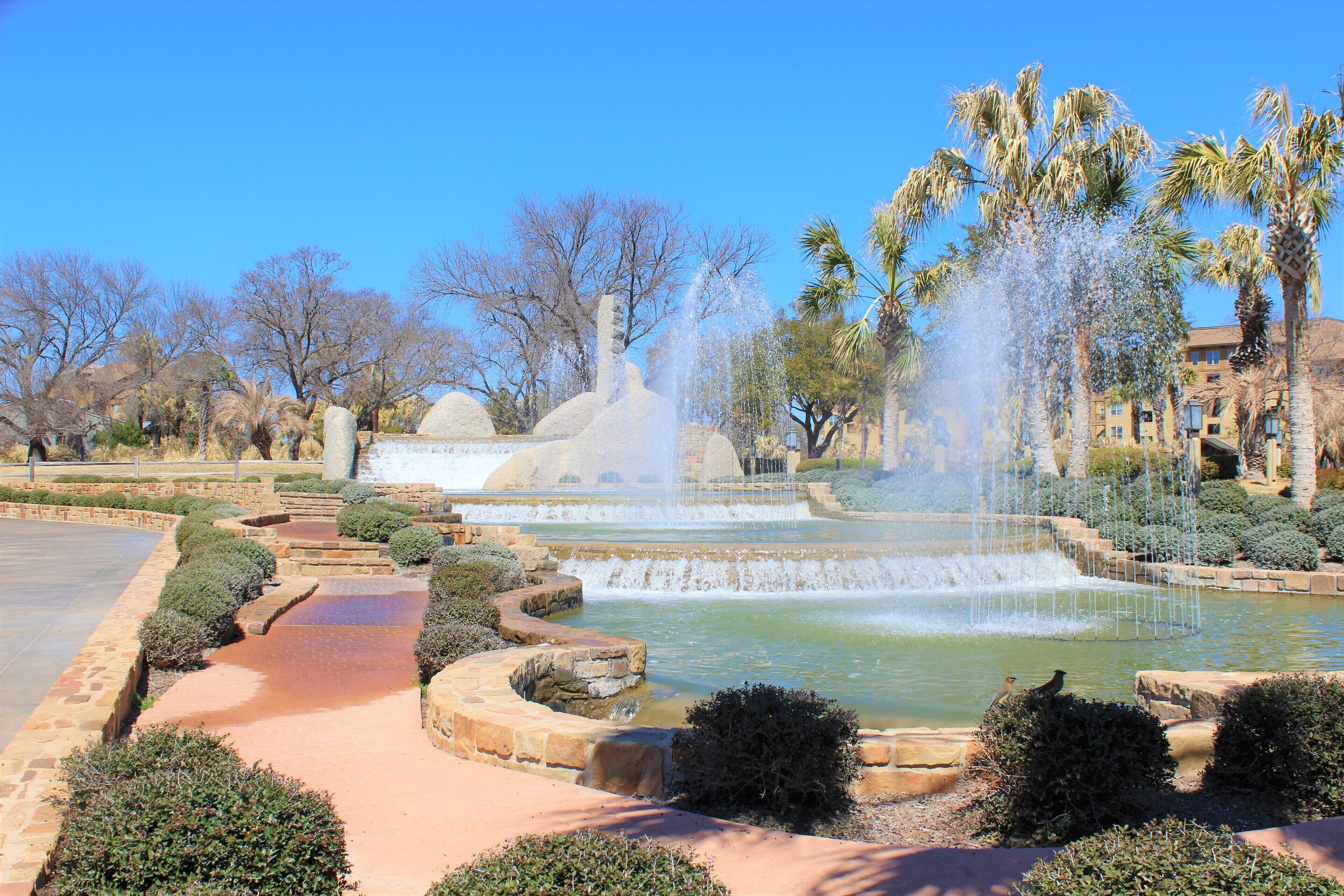 A landscaped garden with a central fountain, surrounded by palm trees and a paved walkway.