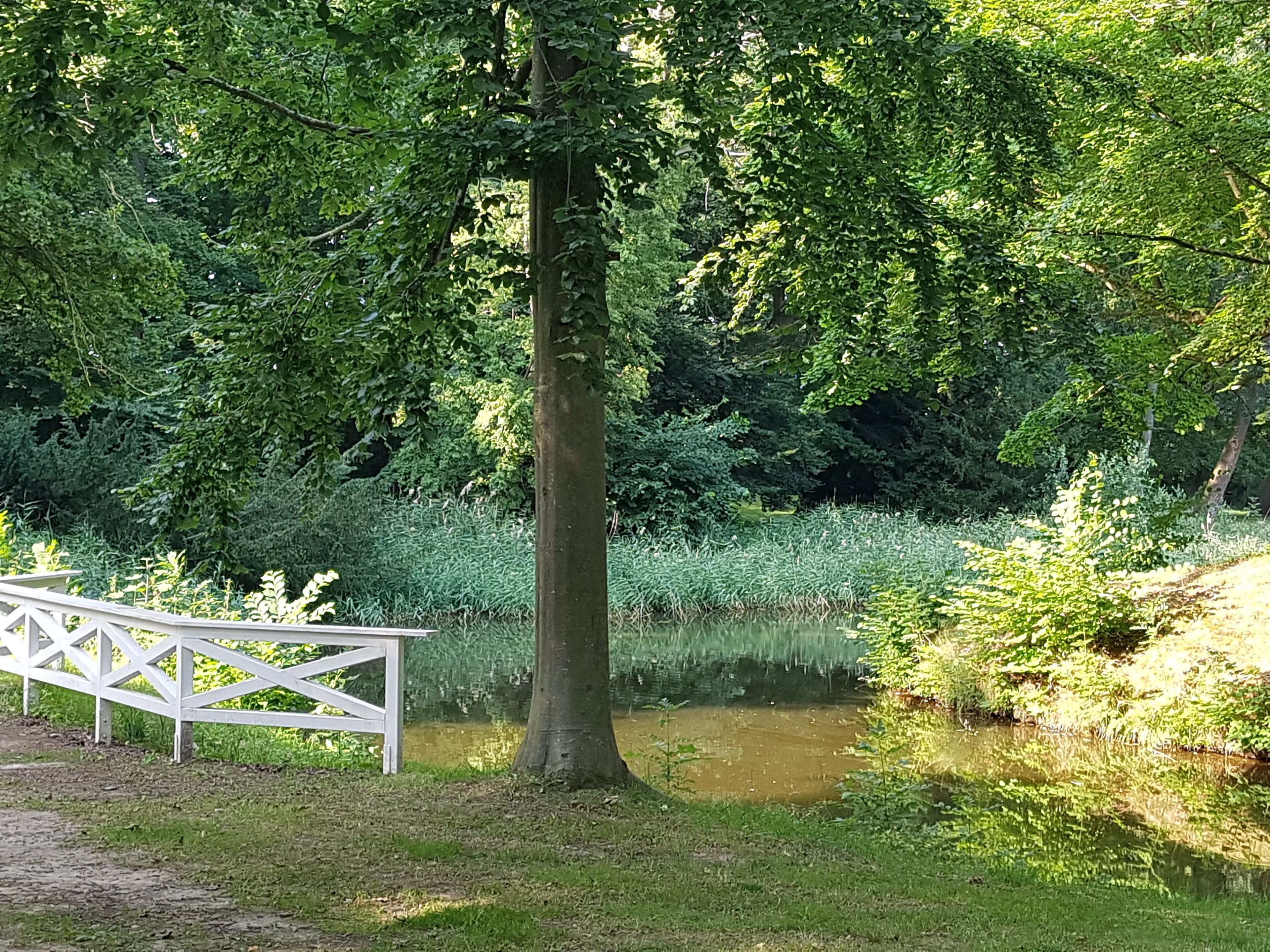 Ein friedlicher Park mit einer weißen Bank, einem Teich und üppigem Grün.