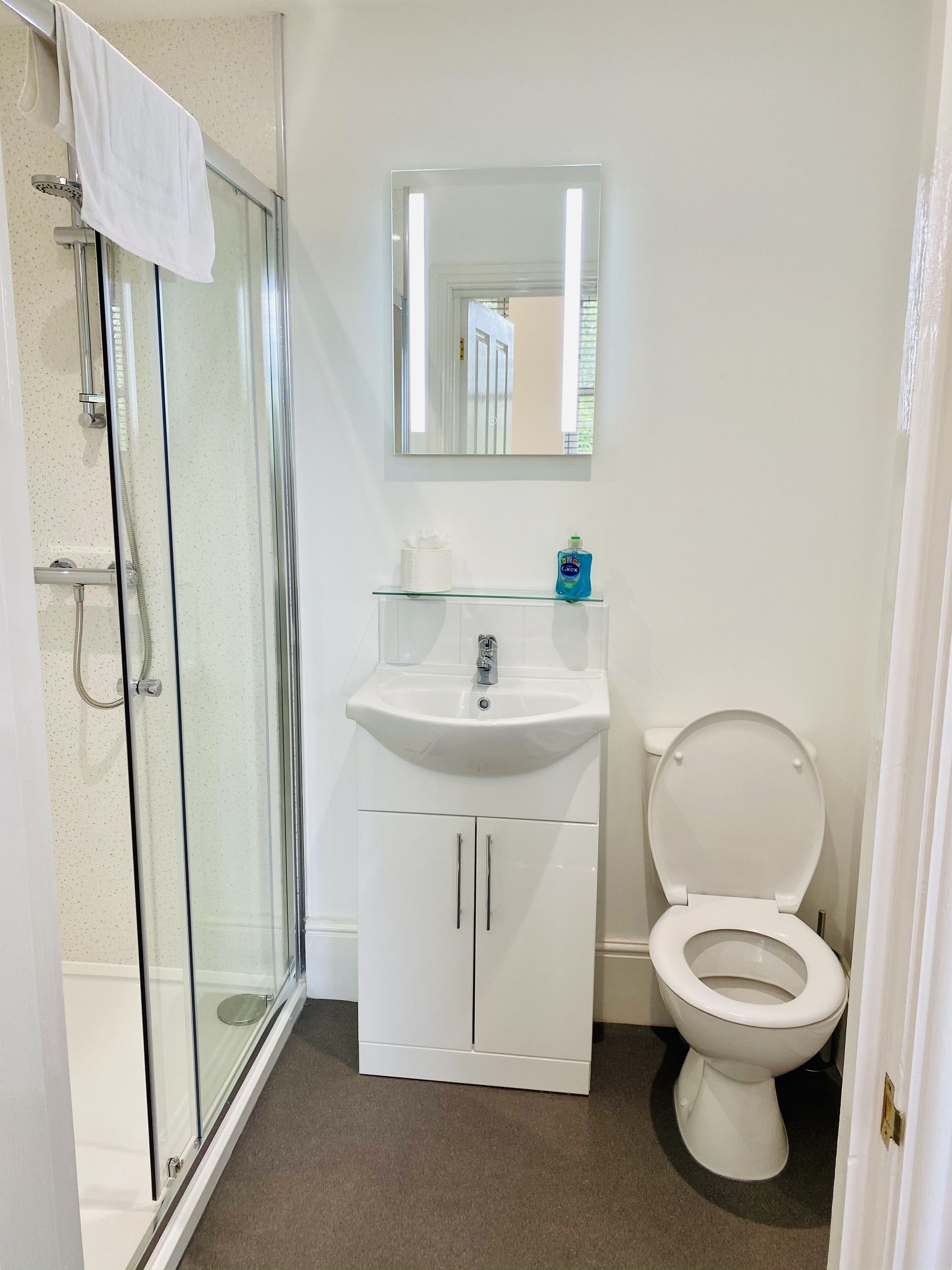 A bathroom with a glass-enclosed shower, a white sink with a mirror above it, and a toilet.
