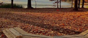 Adorable Tiny House Cabin- Lake Guntersville