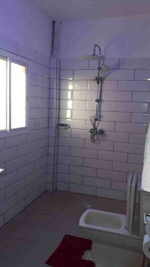 Appartement | Salle de bain | Douche, séchoir à cheveux, serviettes fournies, shampooing
