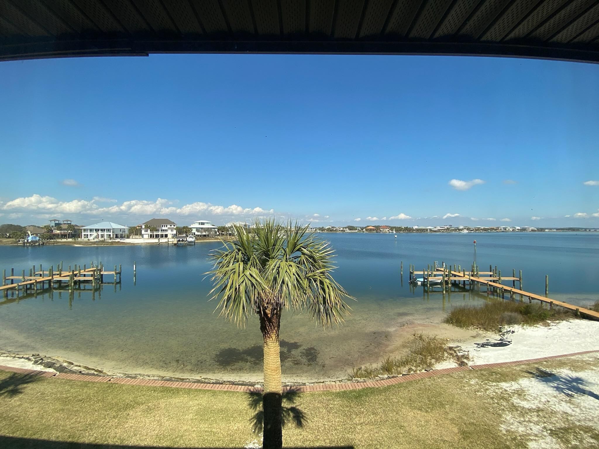 A view of a lake with a palm tree in the foreground, wooden docks, and houses in the background.