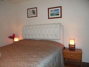 2 chambres, coffres-forts dans les chambres, fer et planche à repasser