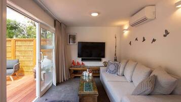 TV, video games, Netflix, streaming services