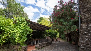Un patio de piedra con pérgola, rodeado de abundante follaje y plantas florecientes.