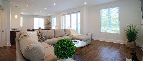 Smart TV, fireplace, DVD player, stereo