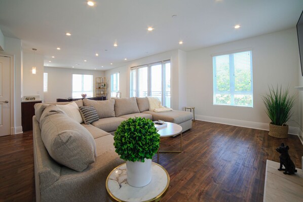 Smart TV, fireplace, DVD player, stereo