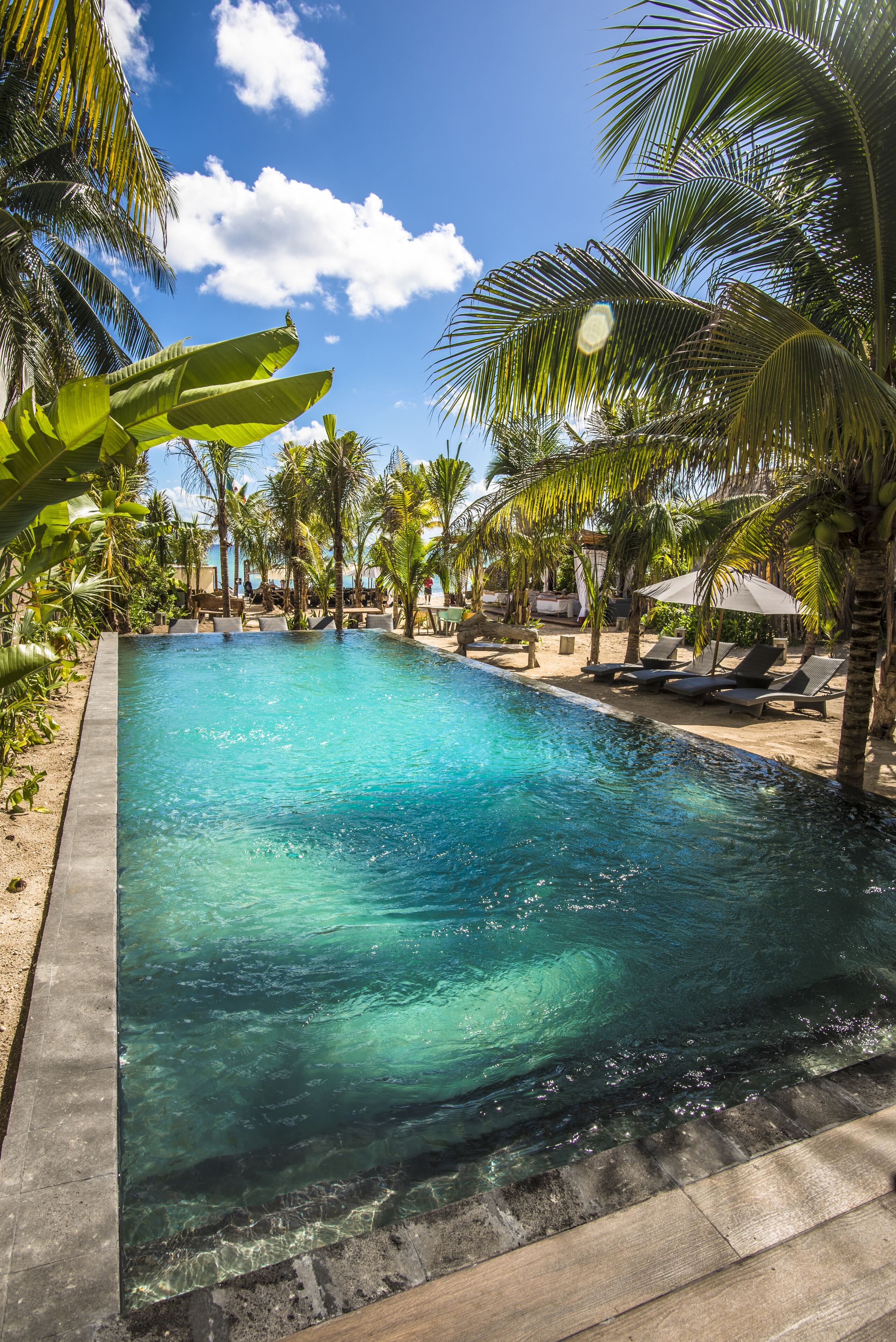 A rectangular swimming pool with clear blue water, surrounded by palm trees and lounge chairs.