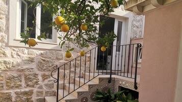 ๋น๋ผ | ์ธ๊ด