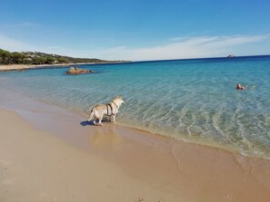 Playa en los alrededores 