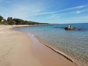 Playa en los alrededores 