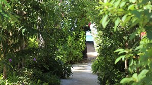 A pathway flanked by lush greenery and palm trees, leading to a building in the distance.