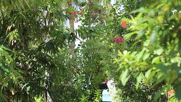 花園