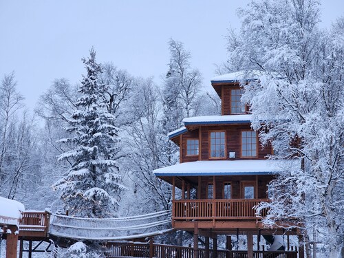 The Eagle's Nest Treehouse Cabin