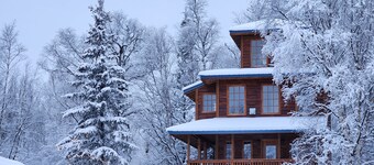 The Eagle's Nest Treehouse Cabin