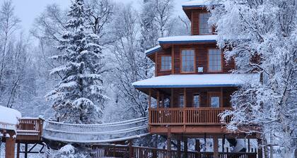 The Eagle's Nest Treehouse Cabin