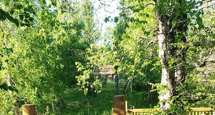 The Eagle's Nest Treehouse Cabin