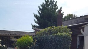 Un sendero de piedra que conduce a una casa con techo de tejas, rodeada por un jardín cuidado con una planta en maceta y un seto.
